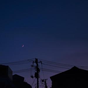 五十路丰满熟妇丰永映美视频
