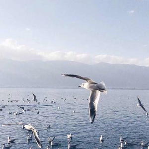 五十路丰满熟妇丰永映美视频
